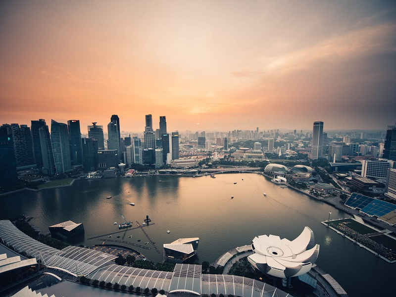 Setting Up a Business in Singapore. A guide from a filing agent. This is a step by step guide to how you can start a business in Singapore.
