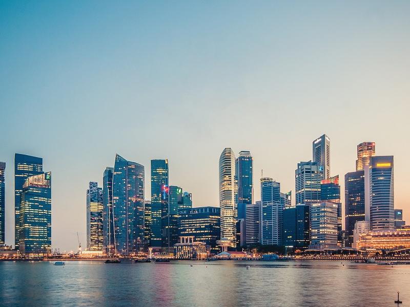 Here is a guide on how you can check the details of a registered company in Singapore and what you should look out for.