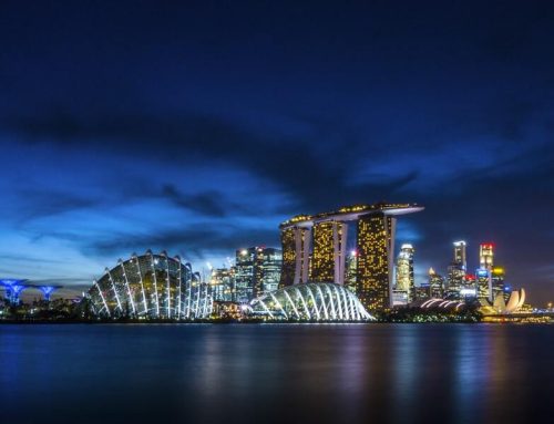 A Guide to the Enterprise Development Grant (EDG) in Singapore