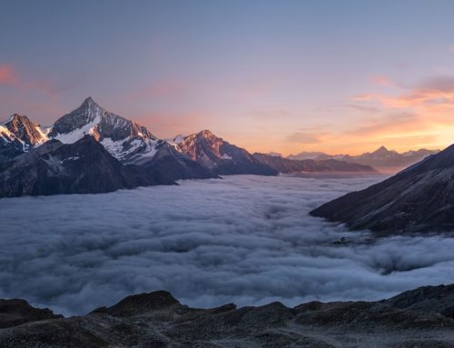 How to Strike Off a Singapore Company: Complete ACRA Guide (2026)