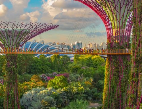 Change of Director in Singapore: Appointment, Resignation and ACRA Filing Guide (2026)