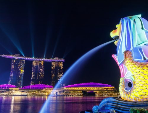 What Your Corporate Secretary Actually Does When You Raise Venture Capital in Singapore