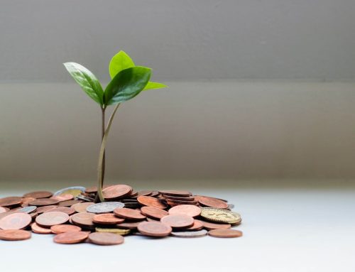 How to Declare and Pay Dividends in a Singapore Company: A Director’s Guide (2026)