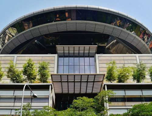 Discovery Orders Against Third Parties in Singapore Company Litigation: Preservation and Search Orders