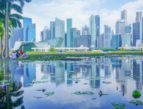 Do Singapore Private Companies Need Independent Directors? A Practical Guide