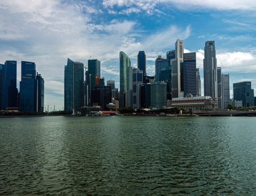 Single Family Office vs Multi-Family Office in Singapore: Costs, Control and Which Structure Fits